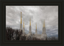 Load image into Gallery viewer, Washington DC Through Life's Storms
