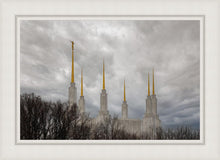 Load image into Gallery viewer, Washington DC Through Life's Storms
