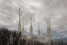 Load image into Gallery viewer, Washington DC Through Life's Storms

