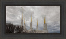 Load image into Gallery viewer, Washington DC Through Life's Storms
