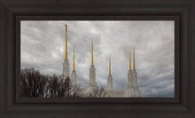 Load image into Gallery viewer, Washington DC Through Life's Storms
