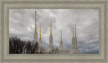 Load image into Gallery viewer, Washington DC Through Life's Storms
