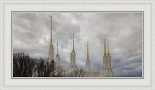 Load image into Gallery viewer, Washington DC Through Life's Storms
