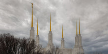 Load image into Gallery viewer, Washington DC Through Life's Storms
