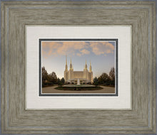 Load image into Gallery viewer, Washington DC Let Truth Prevail
