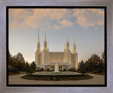 Load image into Gallery viewer, Washington DC Let Truth Prevail
