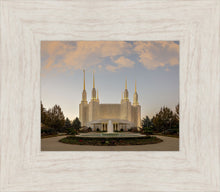 Load image into Gallery viewer, Washington DC Let Truth Prevail
