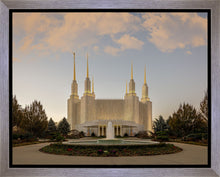 Load image into Gallery viewer, Washington DC Let Truth Prevail
