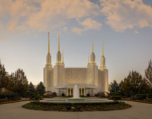 Load image into Gallery viewer, Washington DC Let Truth Prevail
