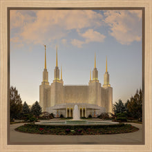 Load image into Gallery viewer, Washington DC Let Truth Prevail
