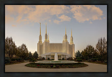 Load image into Gallery viewer, Washington DC Let Truth Prevail
