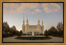 Load image into Gallery viewer, Washington DC Let Truth Prevail
