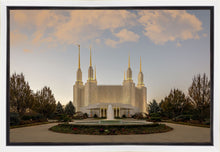 Load image into Gallery viewer, Washington DC Let Truth Prevail
