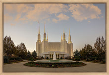 Load image into Gallery viewer, Washington DC Let Truth Prevail
