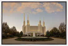 Load image into Gallery viewer, Washington DC Let Truth Prevail
