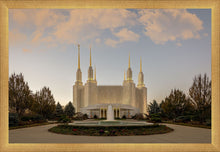 Load image into Gallery viewer, Washington DC Let Truth Prevail
