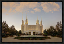 Load image into Gallery viewer, Washington DC Let Truth Prevail
