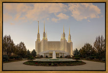 Load image into Gallery viewer, Washington DC Let Truth Prevail
