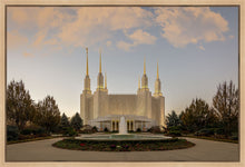 Load image into Gallery viewer, Washington DC Let Truth Prevail
