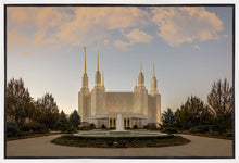 Load image into Gallery viewer, Washington DC Let Truth Prevail
