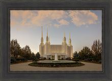 Load image into Gallery viewer, Washington DC Let Truth Prevail
