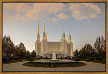 Load image into Gallery viewer, Washington DC Let Truth Prevail
