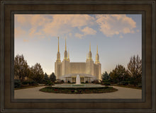 Load image into Gallery viewer, Washington DC Let Truth Prevail
