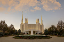 Load image into Gallery viewer, Washington DC Let Truth Prevail
