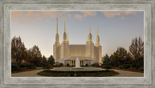 Load image into Gallery viewer, Washington DC Let Truth Prevail
