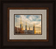 Load image into Gallery viewer, Washington DC Golden Hour
