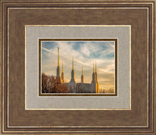 Load image into Gallery viewer, Washington DC Golden Hour
