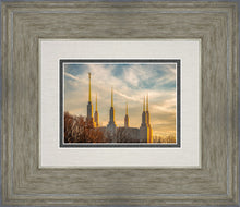 Load image into Gallery viewer, Washington DC Golden Hour
