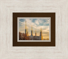 Load image into Gallery viewer, Washington DC Golden Hour

