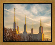 Load image into Gallery viewer, Washington DC Golden Hour
