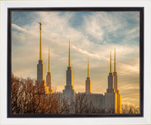 Load image into Gallery viewer, Washington DC Golden Hour
