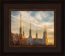 Load image into Gallery viewer, Washington DC Golden Hour
