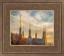 Load image into Gallery viewer, Washington DC Golden Hour
