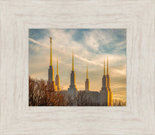 Load image into Gallery viewer, Washington DC Golden Hour

