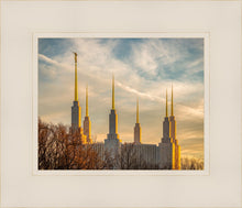 Load image into Gallery viewer, Washington DC Golden Hour
