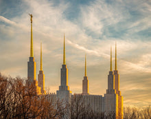 Load image into Gallery viewer, Washington DC Golden Hour
