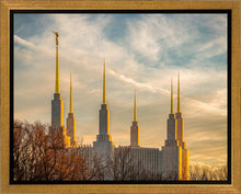 Load image into Gallery viewer, Washington DC Golden Hour

