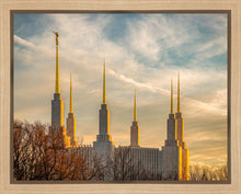 Load image into Gallery viewer, Washington DC Golden Hour
