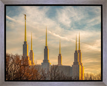 Load image into Gallery viewer, Washington DC Golden Hour
