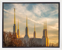 Load image into Gallery viewer, Washington DC Golden Hour
