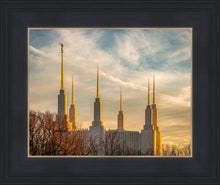 Load image into Gallery viewer, Washington DC Golden Hour
