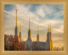 Load image into Gallery viewer, Washington DC Golden Hour
