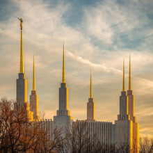 Load image into Gallery viewer, Washington DC Golden Hour
