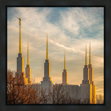 Load image into Gallery viewer, Washington DC Golden Hour
