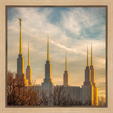 Load image into Gallery viewer, Washington DC Golden Hour
