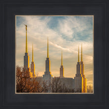 Load image into Gallery viewer, Washington DC Golden Hour
